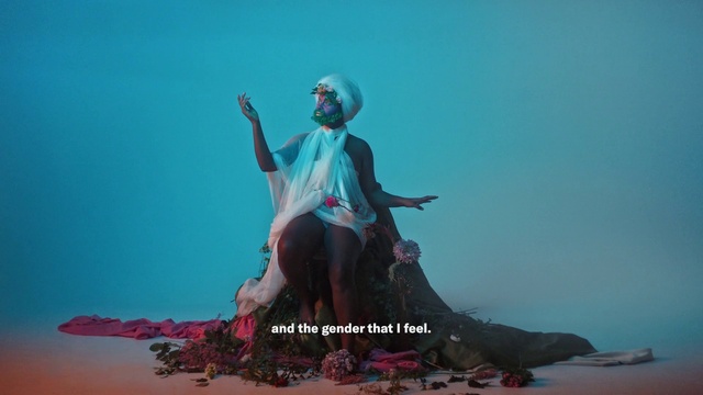 Video Reference: Sky, People in nature, Happy, Flash photography, Plant, Landscape, Travel, Horizon, Leisure, Tree