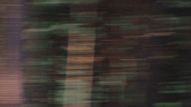 Video Reference: Brown, Wood, Rectangle, Flooring, Tints and shades, Pattern, Hardwood, Wood stain, Liver, Natural material