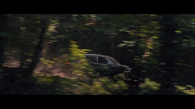 Video Reference: Plant, Natural landscape, Wood, Tree, Terrestrial plant, Grass, Tints and shades, Forest, Landscape, Trunk