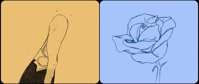 Video Reference: Sleeve, Gesture, Plant, Rectangle, Petal, Font, Flower, Rose, Art, Electric blue