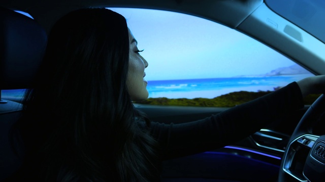 Video Reference: Car, Sky, Automotive design, Vehicle, Automotive mirror, Flash photography, Steering part, Vehicle door, Steering wheel, Rear-view mirror