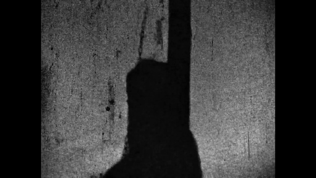 Video Reference: Window, Wood, Grey, Flash photography, Black-and-white, Tree, Font, Tints and shades, Road surface, Human leg