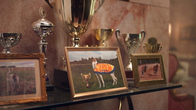 Video Reference: Brown, Picture frame, Wood, Room, Metal, Display case, Barware, Art, Glass, Antique