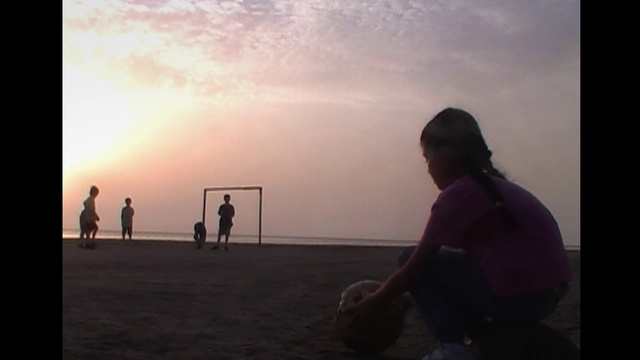 Video Reference: Cloud, Sky, Flash photography, People in nature, Happy, Dusk, Sunset, Tints and shades, People on beach, Horizon