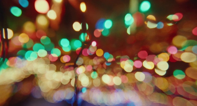 Video Reference: Colorfulness, Sky, Light, Water, Branch, Orange, Plant, Woody plant, Tree, Public space