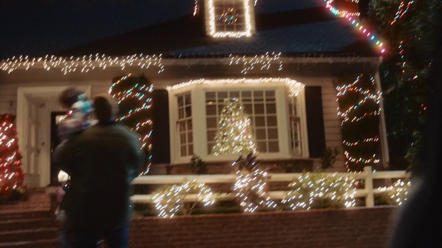 Video Reference: Building, Plant, Window, Light, Lighting, Branch, House, Electricity, Christmas decoration, Decoration