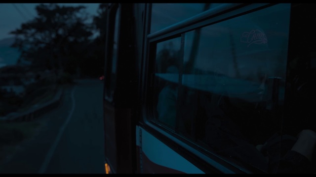 Video Reference: Window, Automotive lighting, Plant, Motor vehicle, Automotive mirror, Automotive exterior, Vehicle door, Tree, Rear-view mirror, Tints and shades