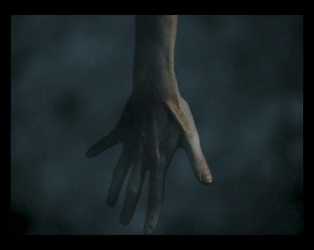 Video Reference: Hand, Organism, Gesture, Font, Wrist, Art, Human leg, Darkness, Window, Event