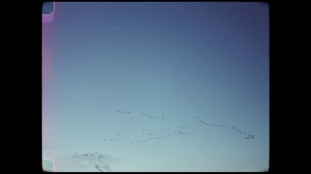 Video Reference: Bird, Atmosphere, Sky, Azure, Rectangle, Gadget, Tints and shades, Font, Electric blue, Electronic device