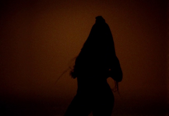 Video Reference: Shoulder, Flash photography, Sky, Tints and shades, Landscape, Long hair, People in nature, Tree, Event, Darkness