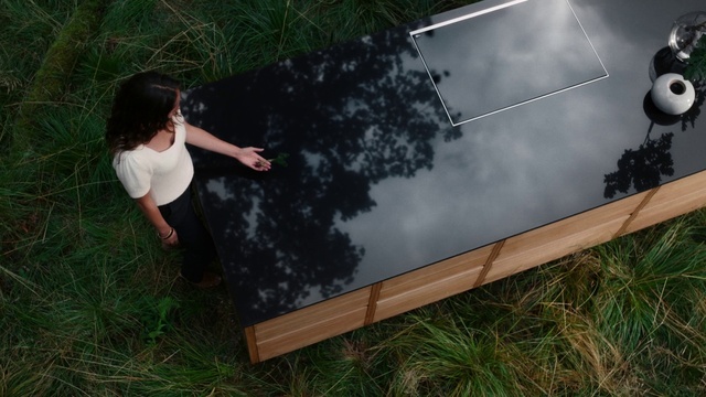 Video Reference: People in nature, Plant, Flash photography, Grass, Wood, Leisure, Grassland, T-shirt, Rectangle, Fun