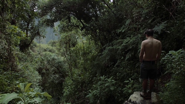 Video Reference: Plant, Plant community, Shorts, Terrestrial plant, Tree, Natural landscape, Grass, Trunk, People in nature, Landscape