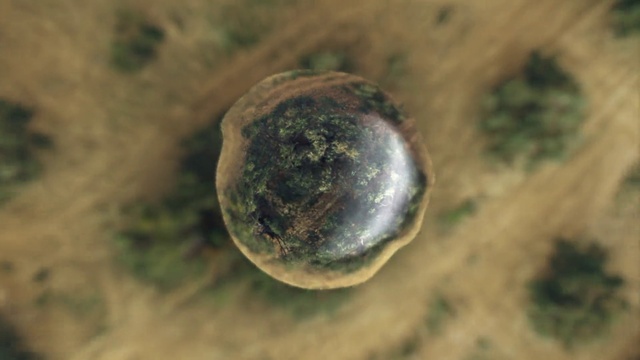 Video Reference: Wood, Grass, Circle, Ball, Landscape, Soil, Metal, Macro photography, Terrestrial animal, Astronomical object