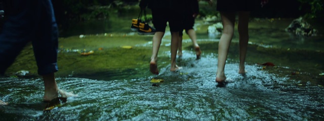 Video Reference: Water, Shoe, Shorts, Leg, Green, People in nature, Watercourse, Grass, Road surface, Leisure