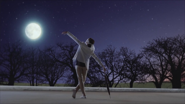 Video Reference: Sky, Atmosphere, Light, Flash photography, Moon, Tree, Astronomical object, Midnight, Space, Science