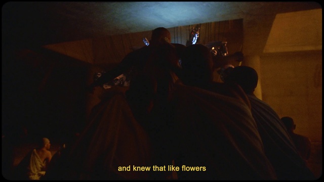 Video Reference: Flash photography, Entertainment, Event, Fun, Darkness, Fashion design, Formal wear, Midnight, Font, Room