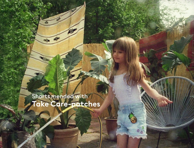 Video Reference: Plant, Photograph, Botany, Light, Leaf, Green, Terrestrial plant, Flowerpot, Grass, Adaptation