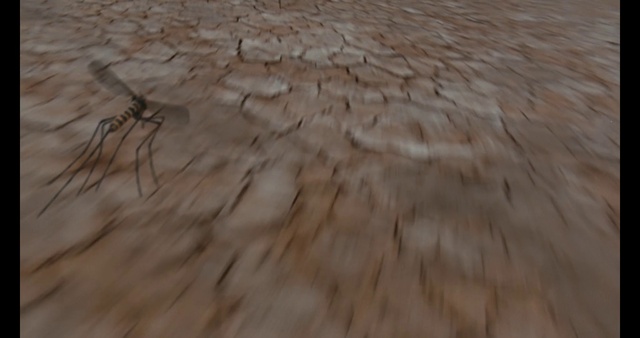 Video Reference: Wood, Water, Flooring, Floor, Formation, Hardwood, Trunk, Landscape, Road surface, Grass