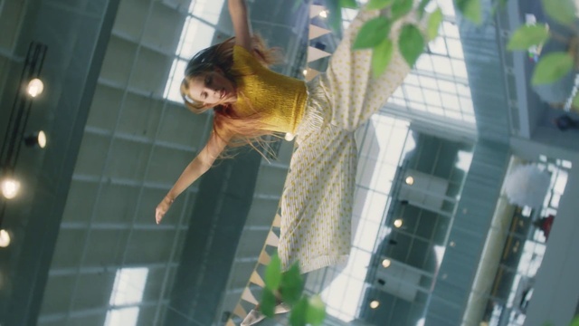 Video Reference: Mesh, Plant, Leisure, Fun, Net, Event, Glass, Window, Reflection, Room