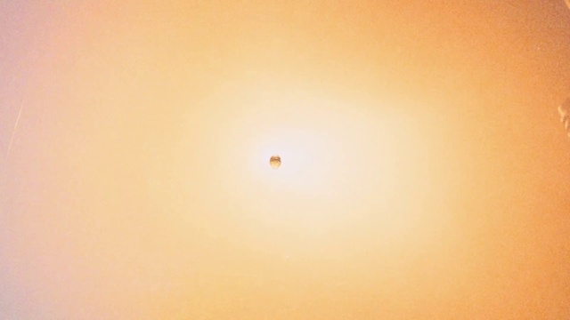 Video Reference: Brown, Amber, Wood, Beige, Tints and shades, Peach, Landscape, Horizon, Sunset, Heat