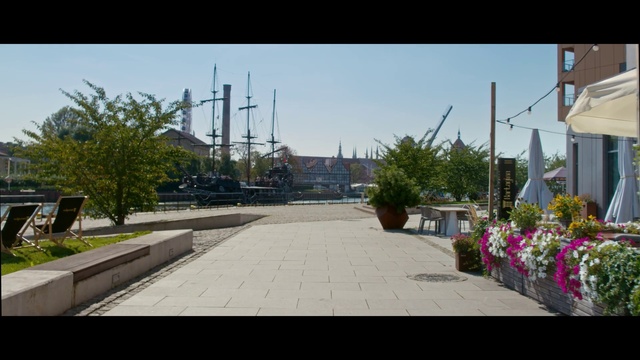 Video Reference: Plant, Sky, Road surface, Flower, Urban design, Street light, Flowerpot, Asphalt, Building, Road