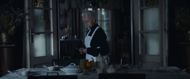 Video Reference: Tableware, Kitchen, Countertop, Plate, Table, Chef, Cooking, Serveware, Apron, Gas