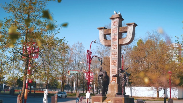 Video Reference: Sky, Daytime, Plant, Tree, Building, Street light, Architecture, Neighbourhood, Leisure, Facade