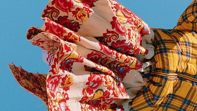 Video Reference: Sky, Textile, Sleeve, Gesture, Pattern, People in nature, Art, Event, Tartan, Tradition