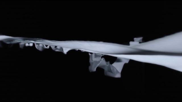 Video Reference: Tints and shades, Petal, Darkness, Wing, Water, Event, Fashion accessory, Flash photography, Liquid, Wood