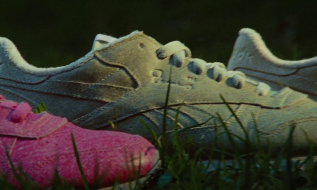 Video Reference: Footwear, Shoe, Plant, Walking shoe, Grey, Grass, Sneakers, Cleat, Athletic shoe, Outdoor shoe