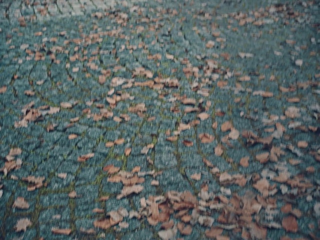 Video Reference: Body of water, Road surface, Wood, Asphalt, Grass, Tints and shades, Water, Sky, Groundcover, Landscape