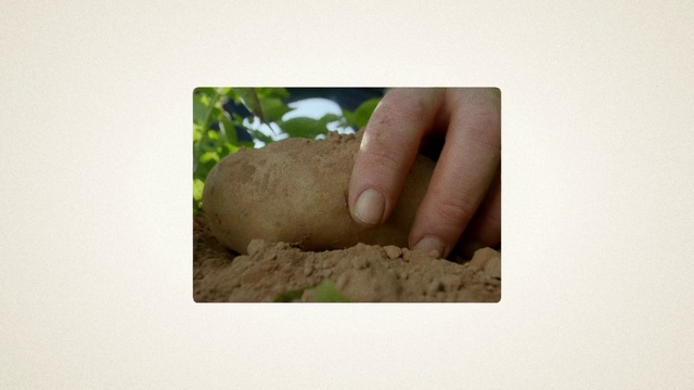 Video Reference: Gesture, Wood, Font, Nail, Terrestrial plant, Thumb, Grass, Soil, Plant, Trunk