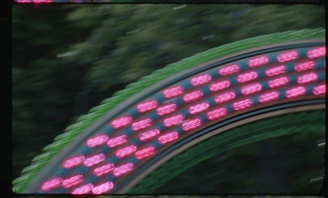 Video Reference: Plant, Automotive tire, Automotive lighting, Tire, Window, Terrestrial plant, Font, Line, Wheel, Grass