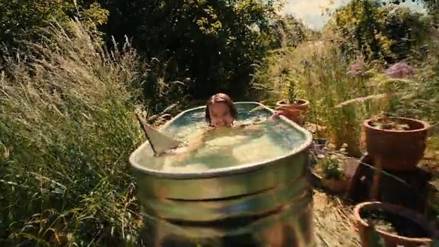 Video Reference: Plant, Fluid, Water, Grass, Terrestrial plant, Landscape, Liquid, Water feature, Tree, Garden