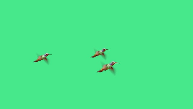 Video Reference: Green, Aircraft, Font, Wing, Air travel, Grassland, Event, Bird, Grass, Airplane