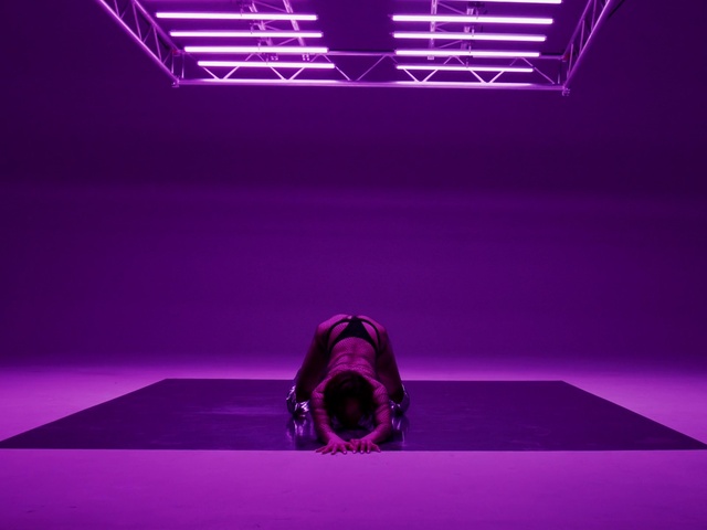 Video Reference: Light, Purple, Violet, Pink, Font, Magenta, Entertainment, Electric blue, Visual effect lighting, Event