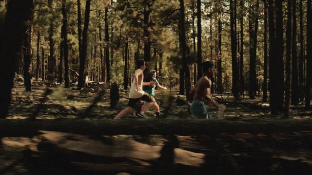 Video Reference: Plant, People in nature, Wood, Branch, Natural landscape, Tree, Trunk, Grass, Landscape, Deciduous