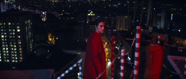 Video Reference: Coat, Entertainment, Tree, Midnight, Performing arts, Event, Plant, City, Electric blue, Fun