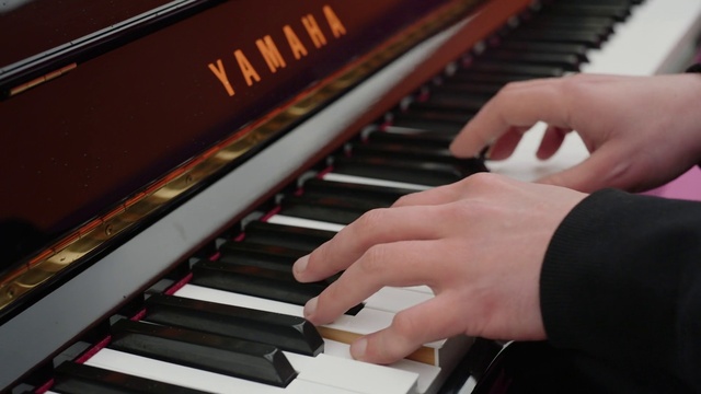 Video Reference: Hand, Musical instrument, Photograph, Piano, Keyboard, Organ, Musician, Black, Musical instrument accessory, Classical music