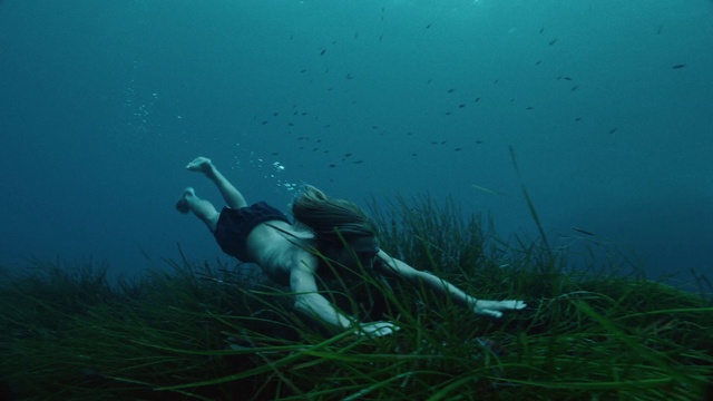 Video Reference: Water, Underwater diving, Plant, Underwater, Diving equipment, People in nature, Swimwear, Diving mask, Outdoor recreation, Marine biology