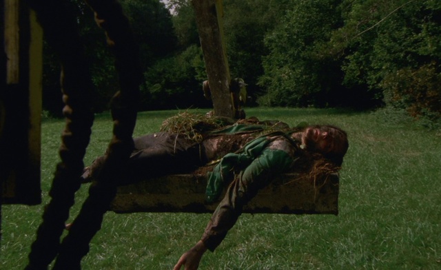 Video Reference: Plant, People in nature, Tree, Wood, Trunk, Art, Grass, Grassland, Forest, Environmental art
