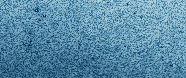 Video Reference: Water, Bird, Electric blue, Pattern, Animal migration, Science, Bird migration, Liquid, Water bird, Sky