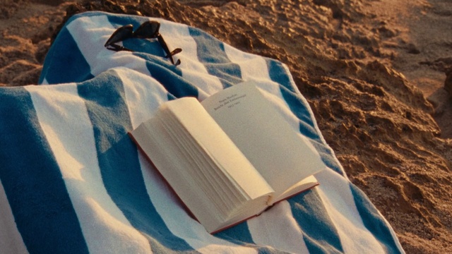 Video Reference: Ecoregion, Sleeve, Wood, Body of water, Terrain, Landscape, Tints and shades, Slope, Travel, Recreation