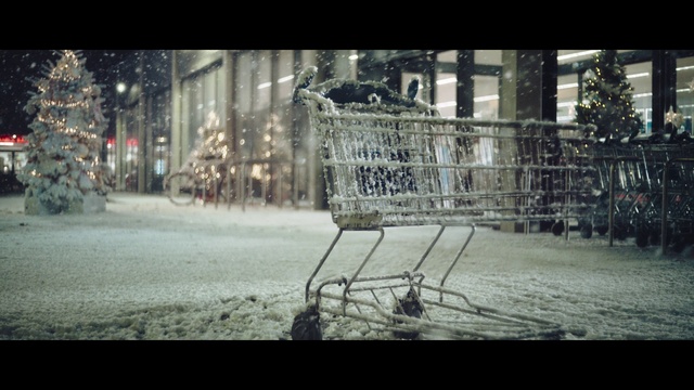Video Reference: Atmosphere, Building, Branch, Road surface, Architecture, Sunlight, Twig, Neighbourhood, Freezing, City
