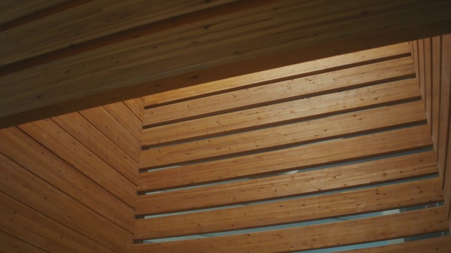 Video Reference: Brown, Wood, Wood stain, Composite material, Tints and shades, Plank, Hardwood, Lumber, Pattern, Ceiling