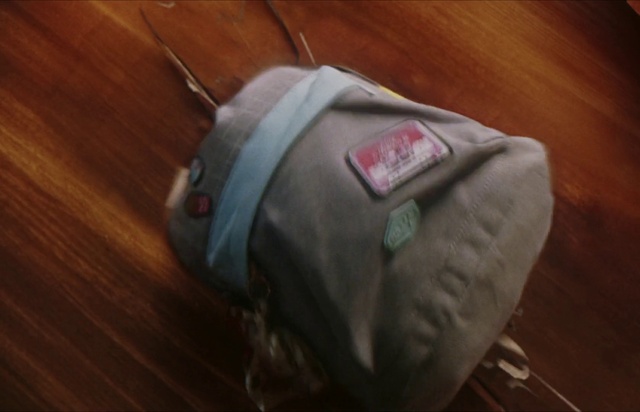 Video Reference: Wood, Flooring, Hardwood, Wood stain, Personal protective equipment, Bag, Carmine, Fashion accessory, Auto part, Varnish