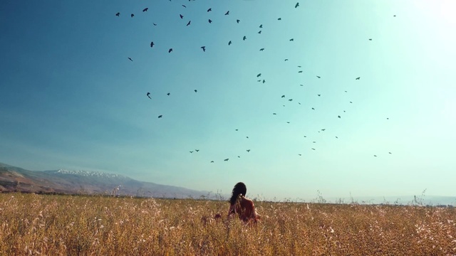 Video Reference: Sky, Ecoregion, Plant, People in nature, Nature, Natural environment, Cloud, Natural landscape, Tree, Sunlight