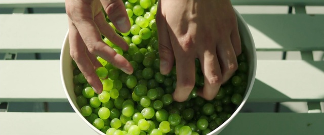 Video Reference: Food, Hand, Photograph, Green, Natural foods, Fruit, Finger, Gesture, Seedless fruit, Ingredient