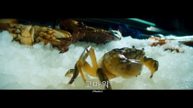 Video Reference: Insect, Arthropod, Pest, Recipe, Decapoda, Cuisine, Dish, Crustacean, Membrane-winged insect, Macro photography