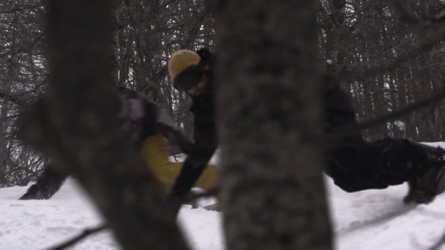 Video Reference: Trunk, Twig, Automotive tire, Snow, Snout, Tail, Plant, Winter, Forest, Freezing